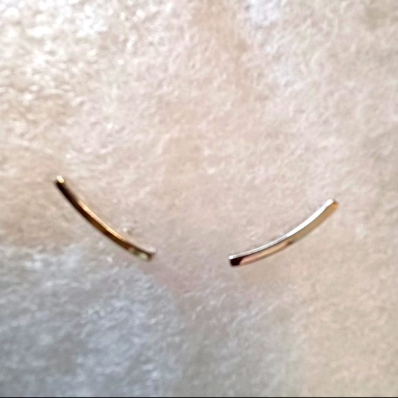 Earrings - Picture 1 of 1